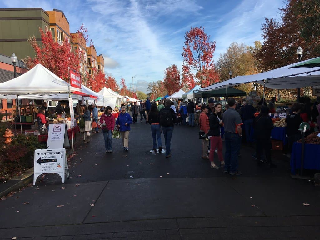 Looking north at the market