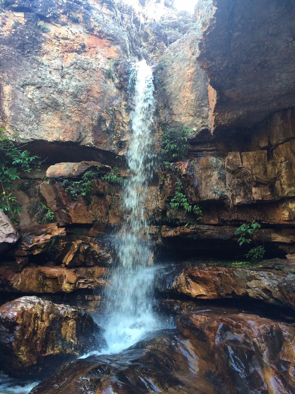caída forte.