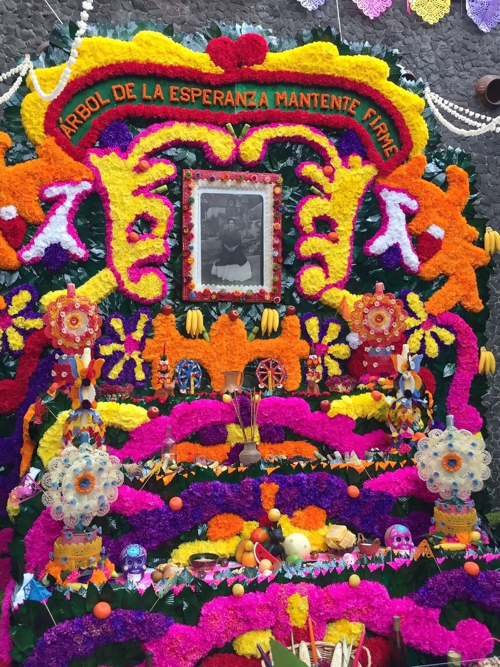 Museo Casa Estudio Diego Rivera y Frida Kahlo