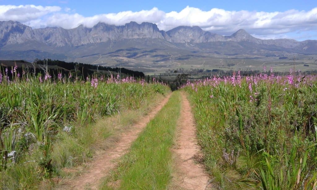 Helderberg Nature Reserve