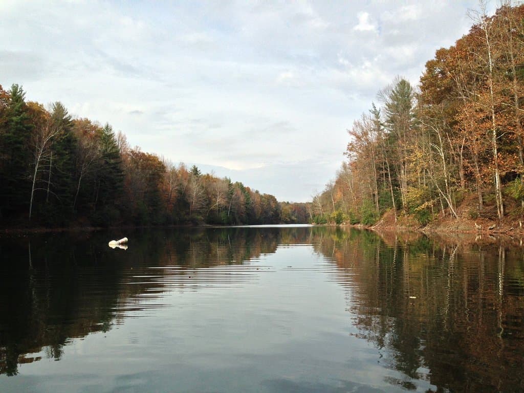 Lake inside the park. There's a floating bridge across the lake for those who dare.