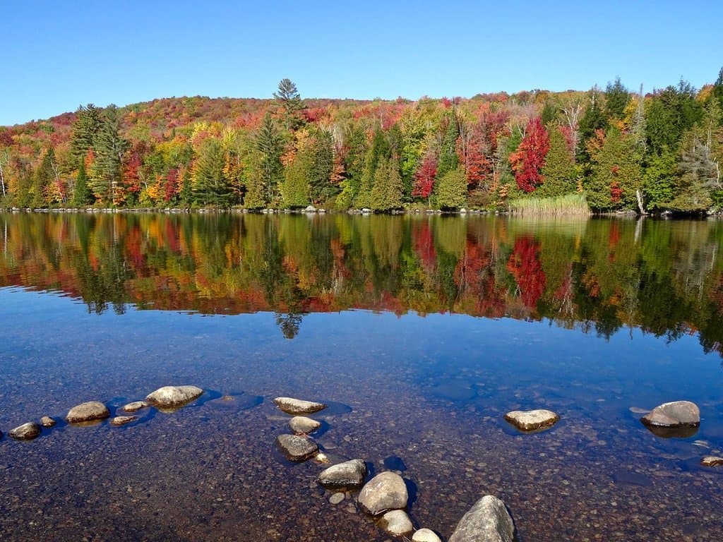 At the End of a Narrow Peninsula, Crystal Water & Lovely Foliage