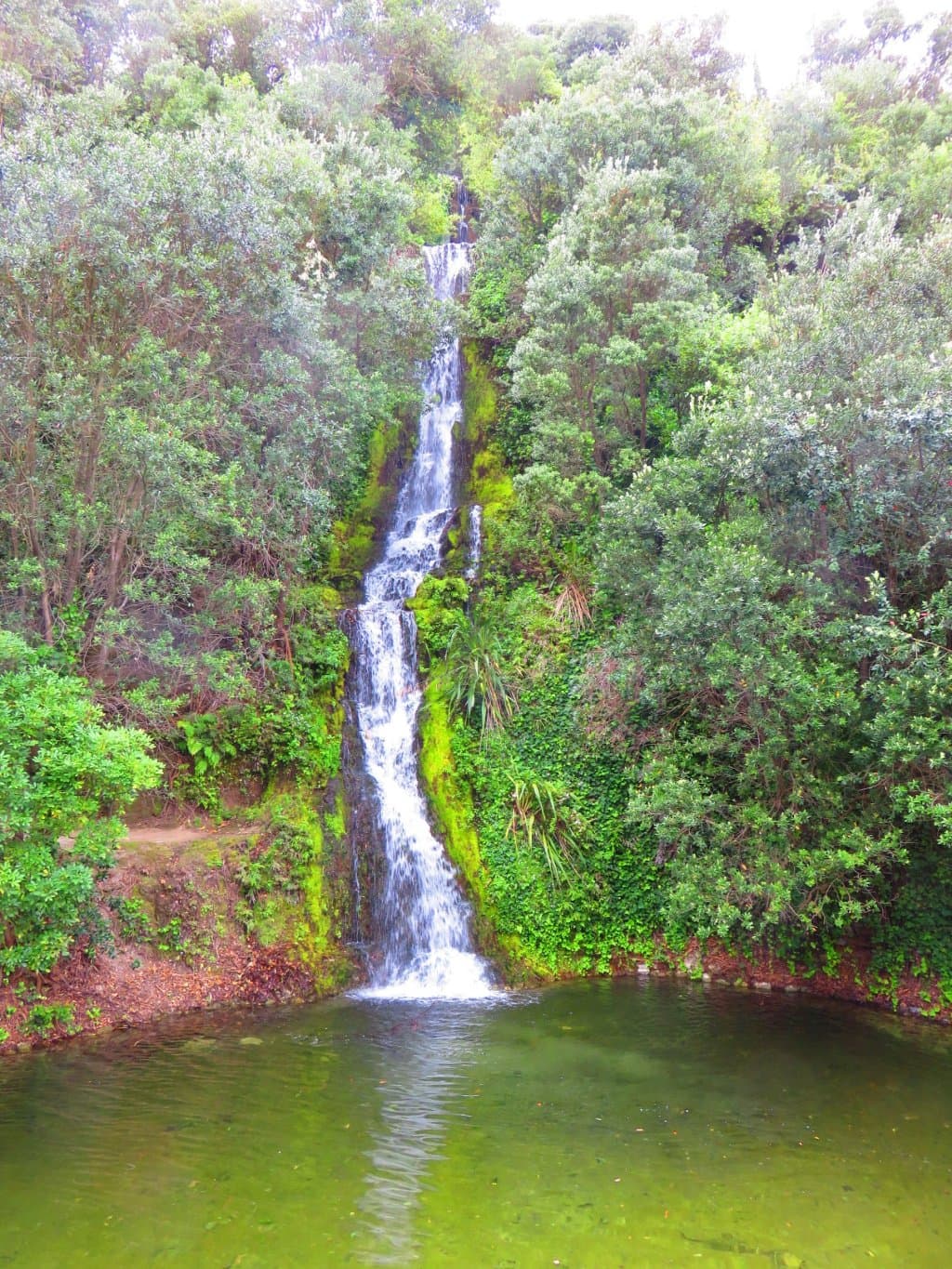 Centennial Gardens