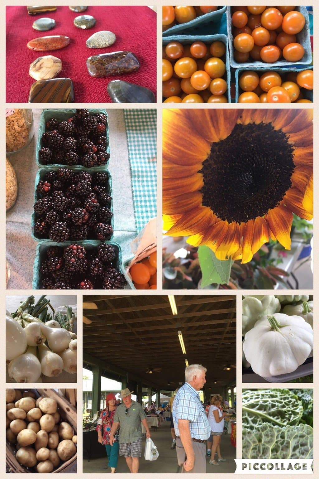Abingdon Farmers Market Pavilion