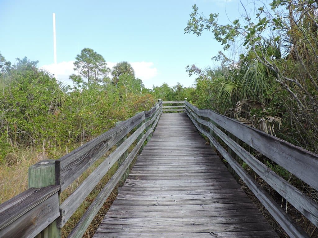 Viewing deck