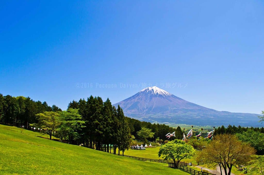 ヒツジの放牧場からの眺め