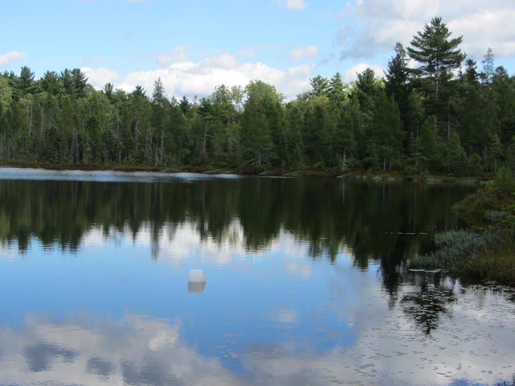 The lake is beautiful