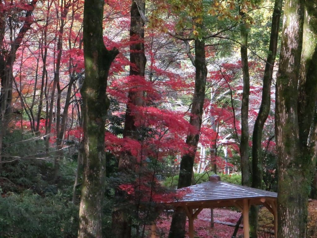 Ikuta Ryokuchi Park