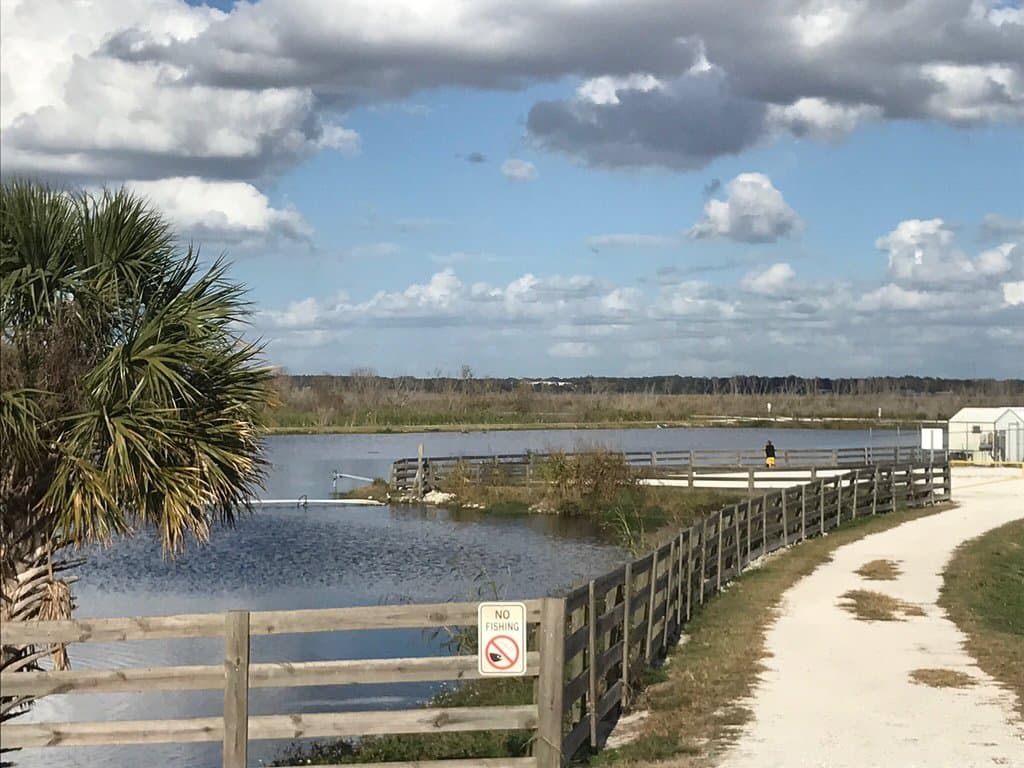 Lake Apopka Loop Trail