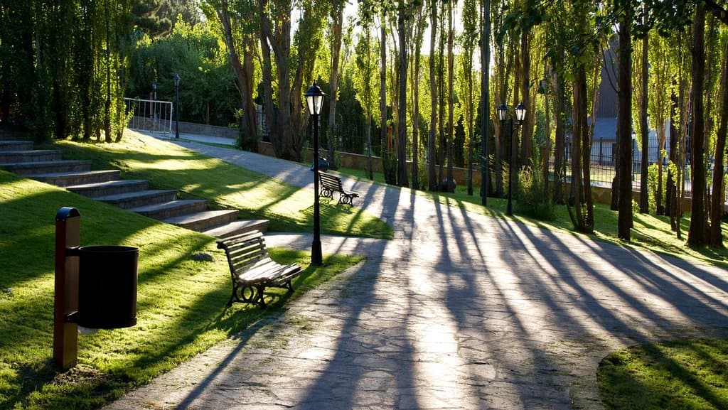 Bosque