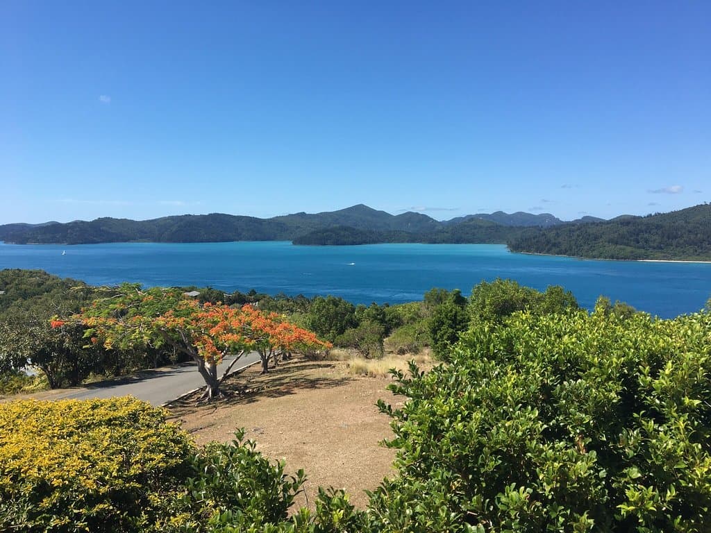 One Tree Hill Hamilton Island