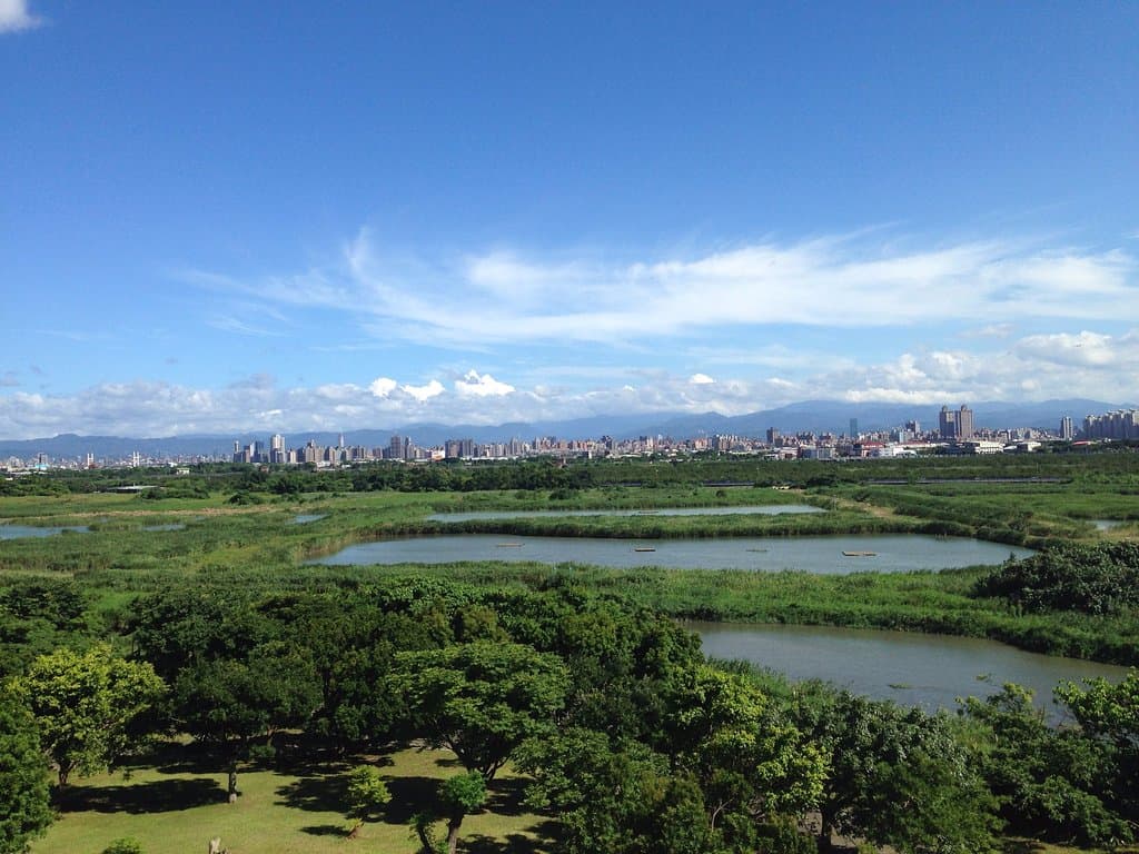 關渡濕地與台北的城市天際線