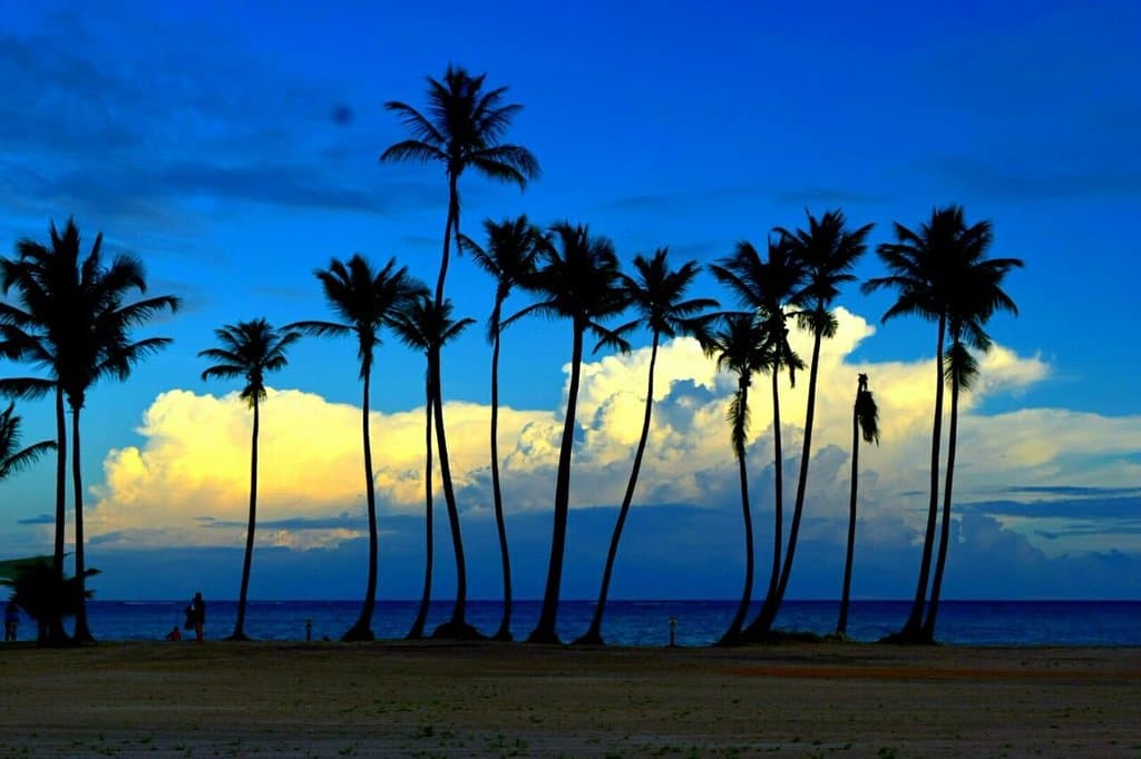 Atardecer