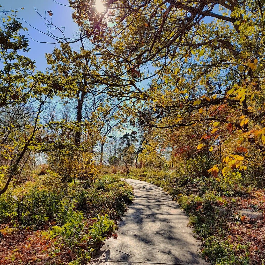 Autumn pictures at Shaw