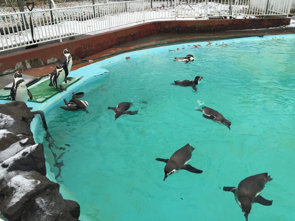 Kushiro City Zoo