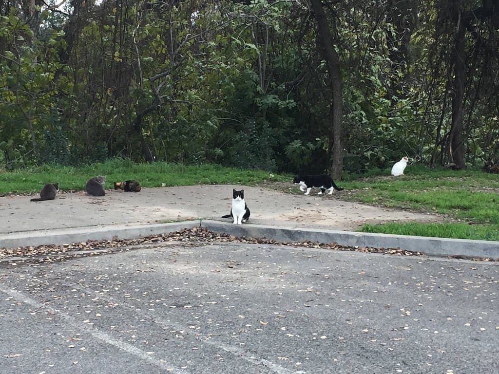 Tuolumne River Regional Park