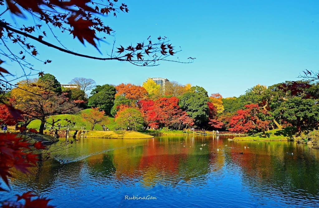 Koishikawa Garden