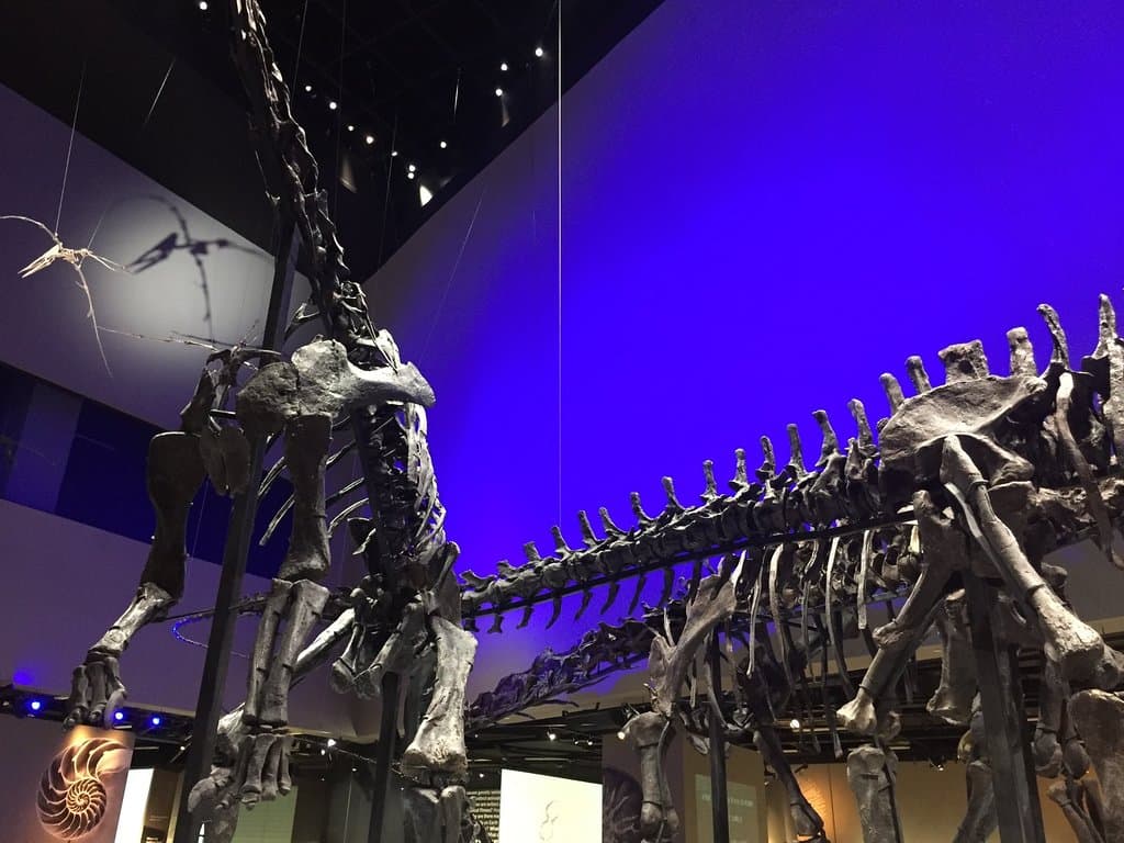 自然歷史博物館