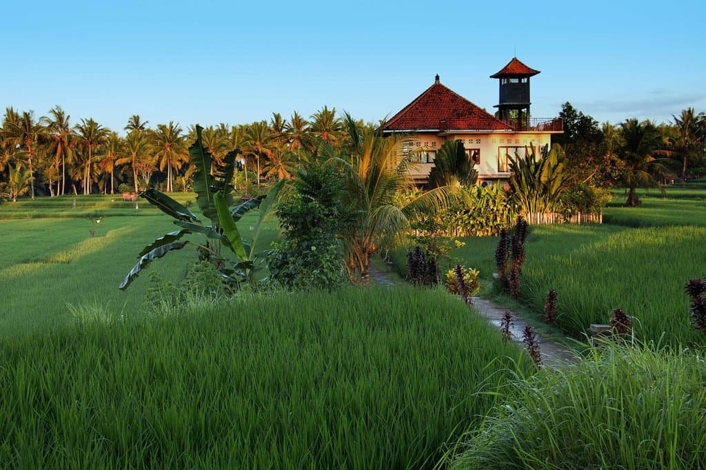 Subak Juwuk Manis Walk
