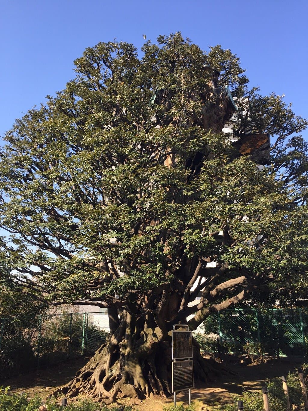 Hosokawa Gyobutei Kumamoto