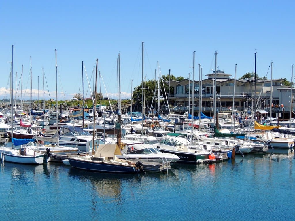 Enjoying the Marina on a Sunny Day