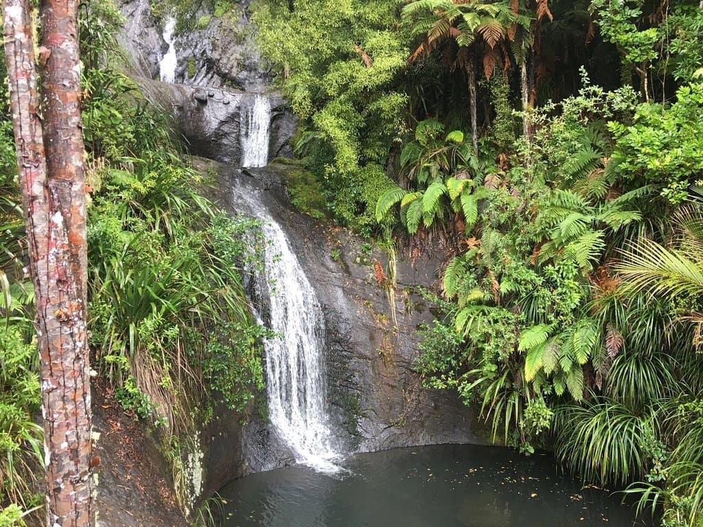 Fairy Falls Track Auckland