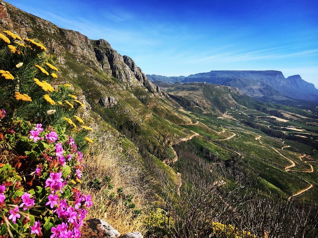 Out and about at silvermine nature reserve.