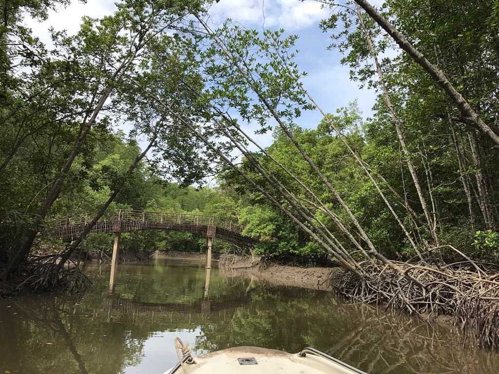 Can Gio Biosphere Reserve