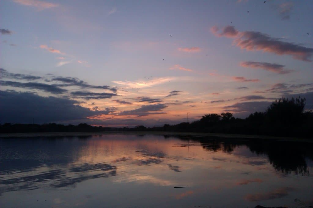 Crepúsculo en els Aiguamolls de l'Empordà