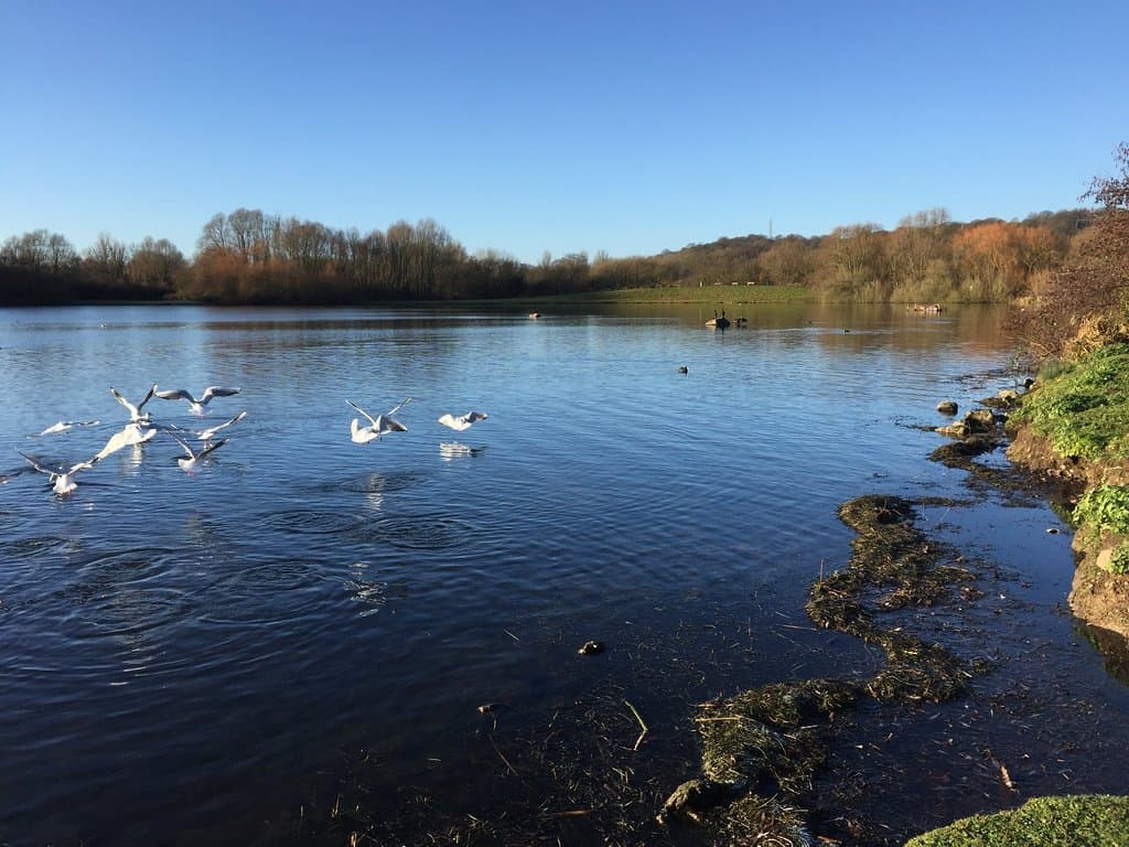 Colwick Park Nottingham