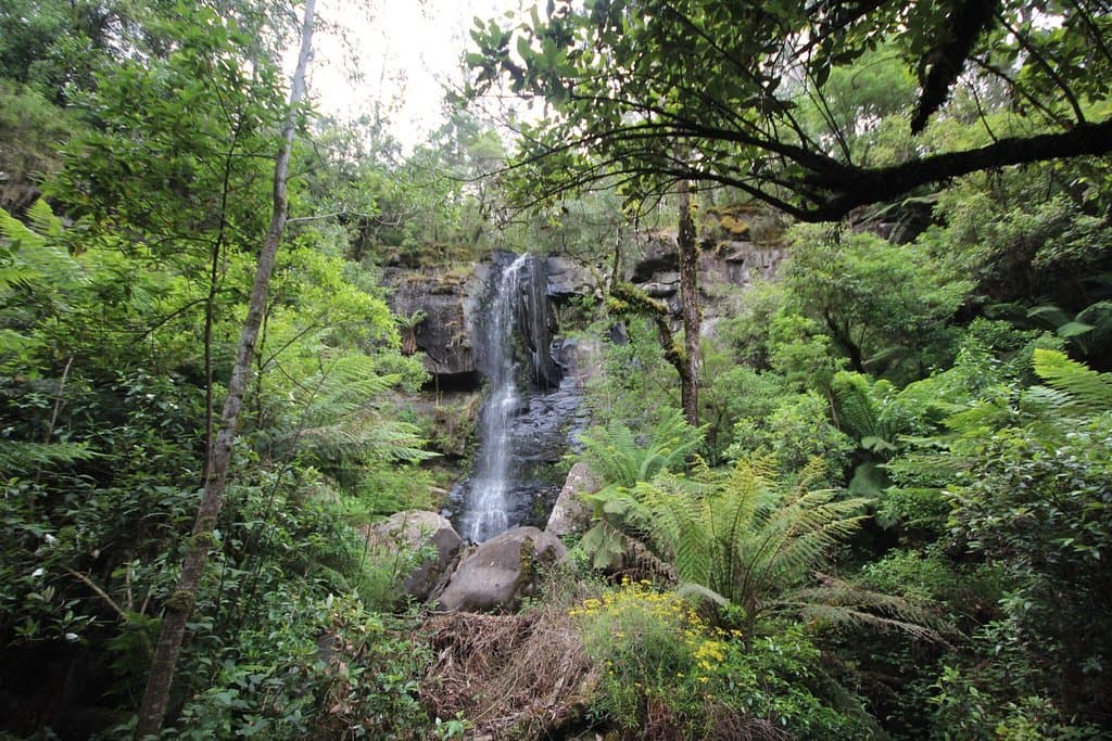 Lovely waterfall to visit . With the rock overhang and being able to sit quietly underneath . Go