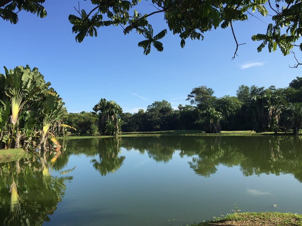 Well preserve garden, great for morning walk