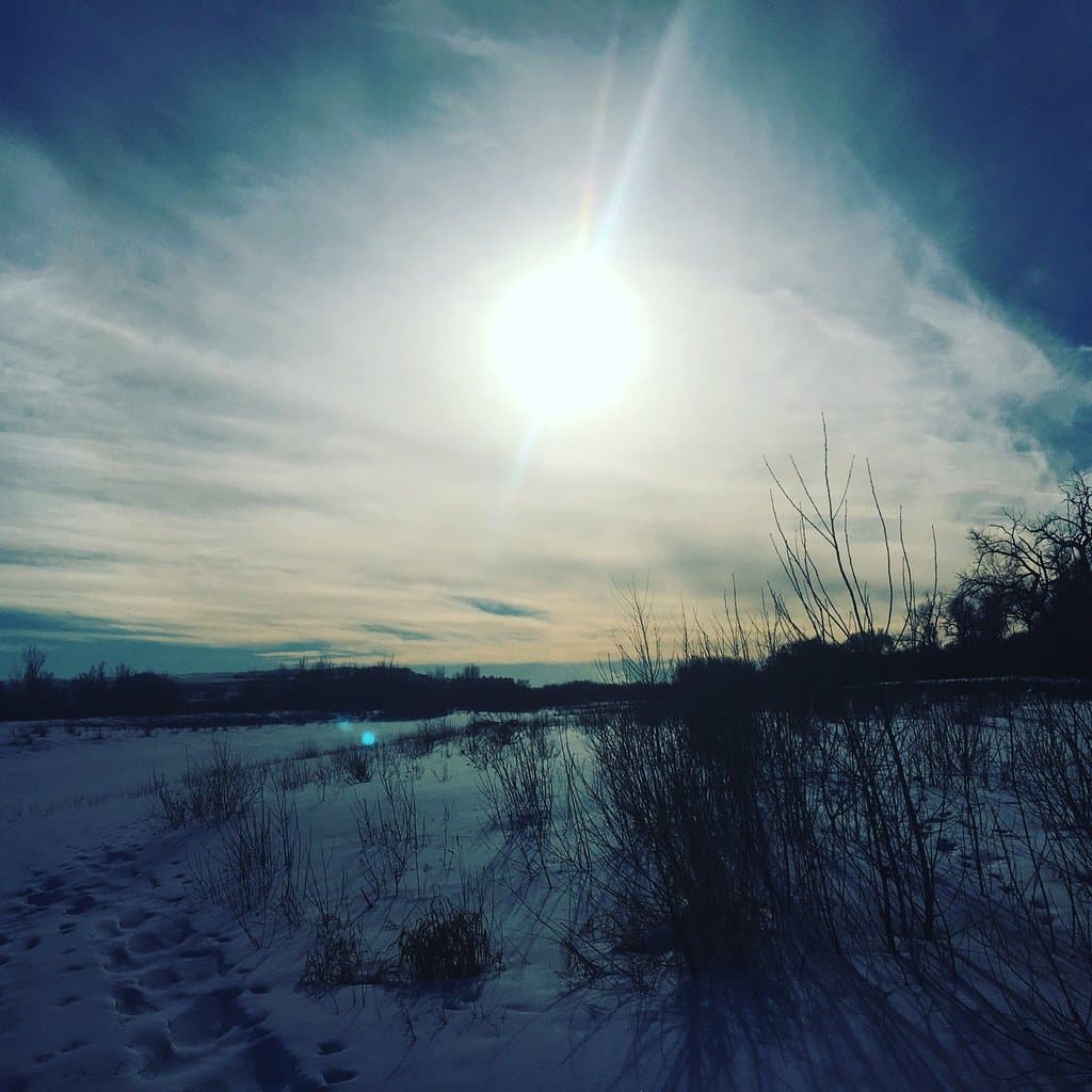 Great park for winter activities!!