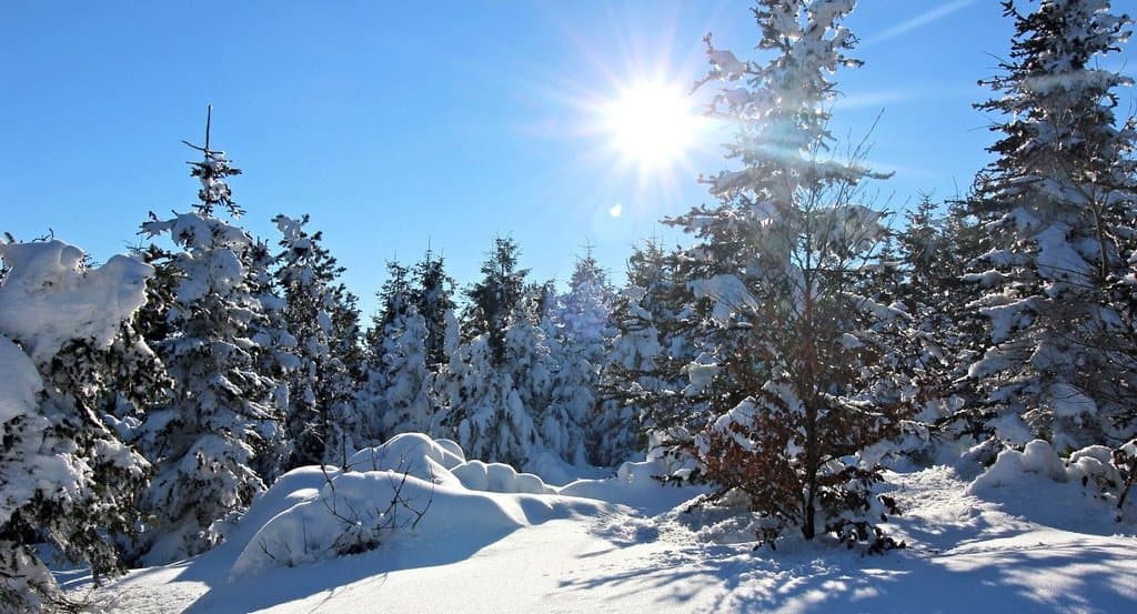 Beautiful nature of Jizerské Hory