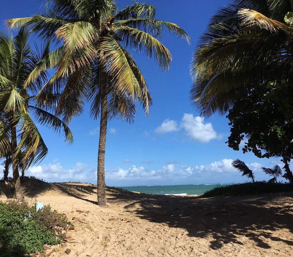 Ocean Park Beach