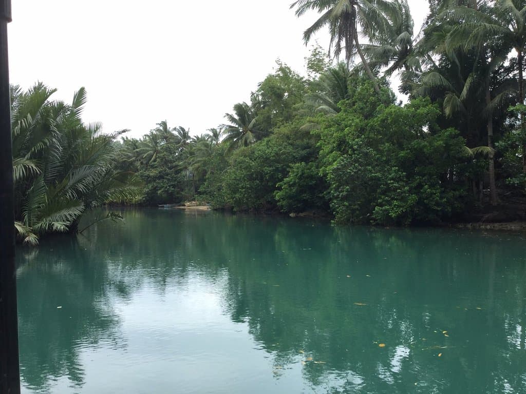 View of the river from the raft we were riding