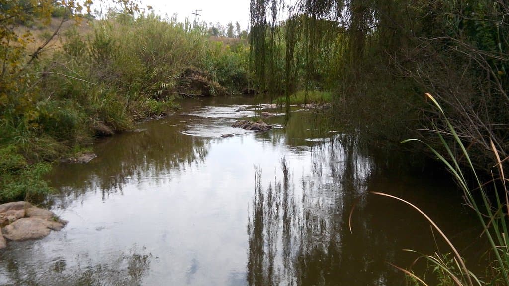 One of the serene areas for a family to braai and fish. There are 3 dams to choose from.