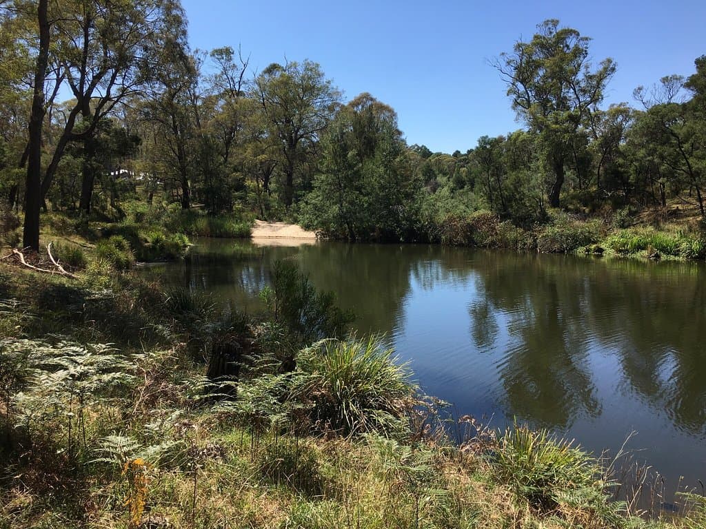 Berrima River Walk and Old Bridge