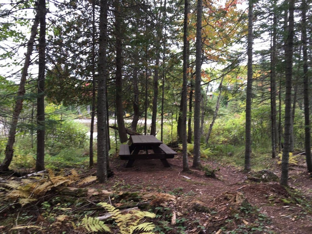 Picnic Area at the Shore