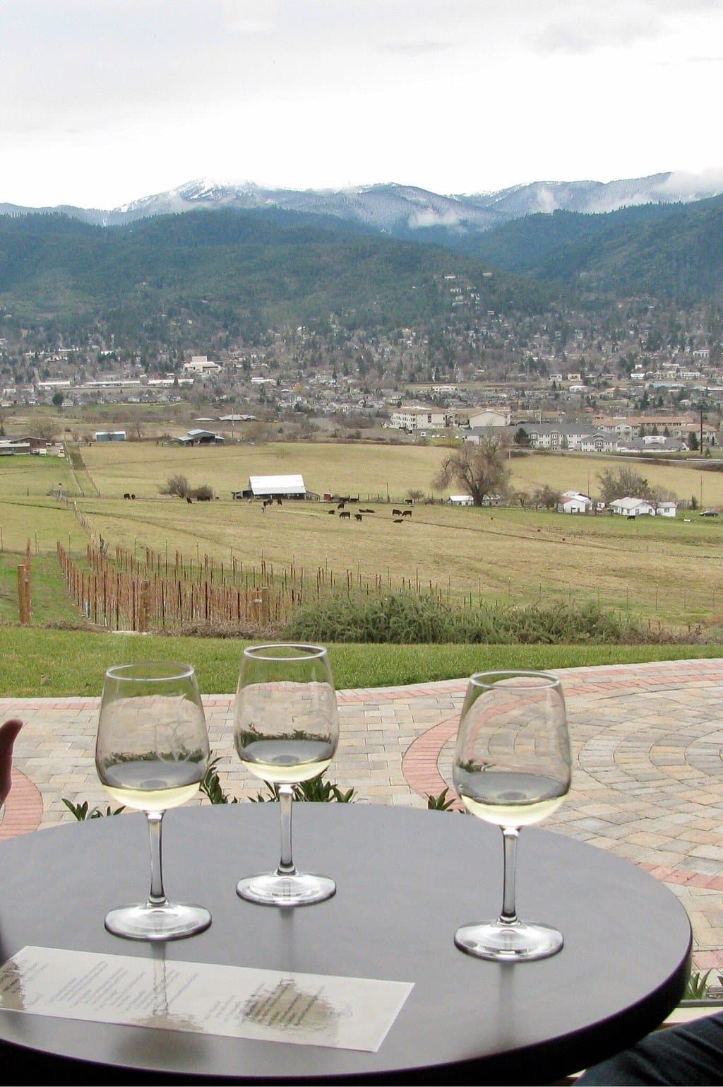 Wine Tasting any time of the year! Now open every day from 1-6pm. Cheers!