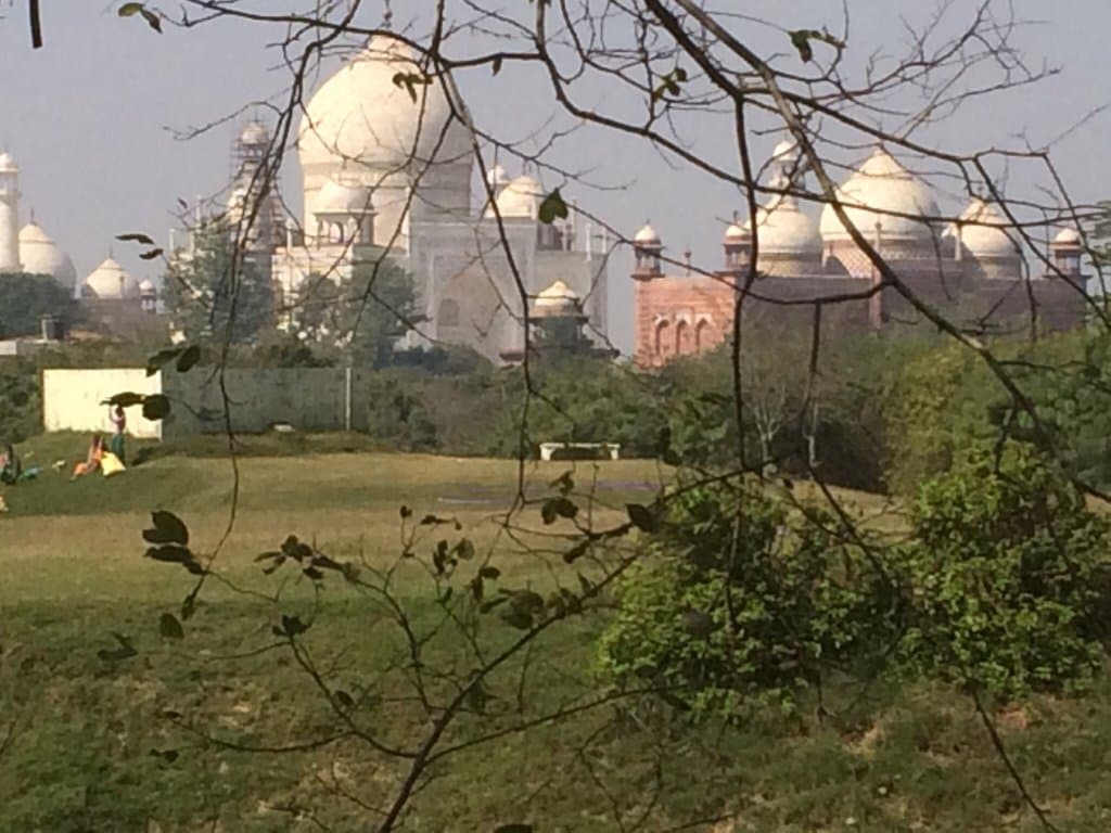 Taj Nature Walk Agra