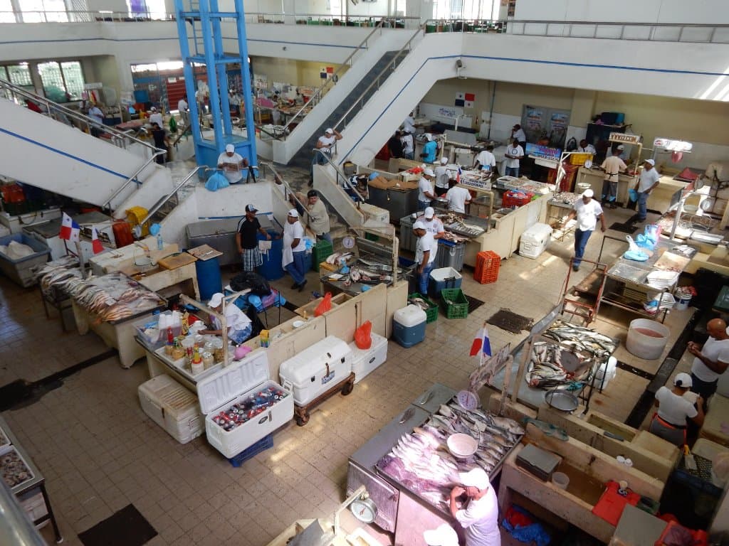 inside fish market