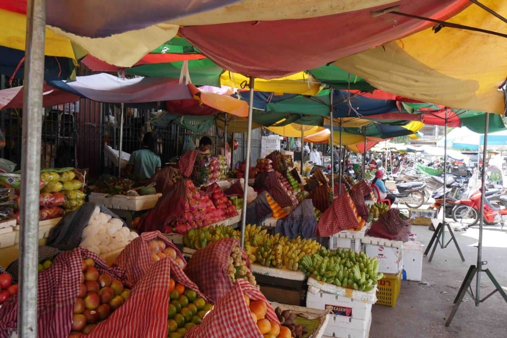 fruits