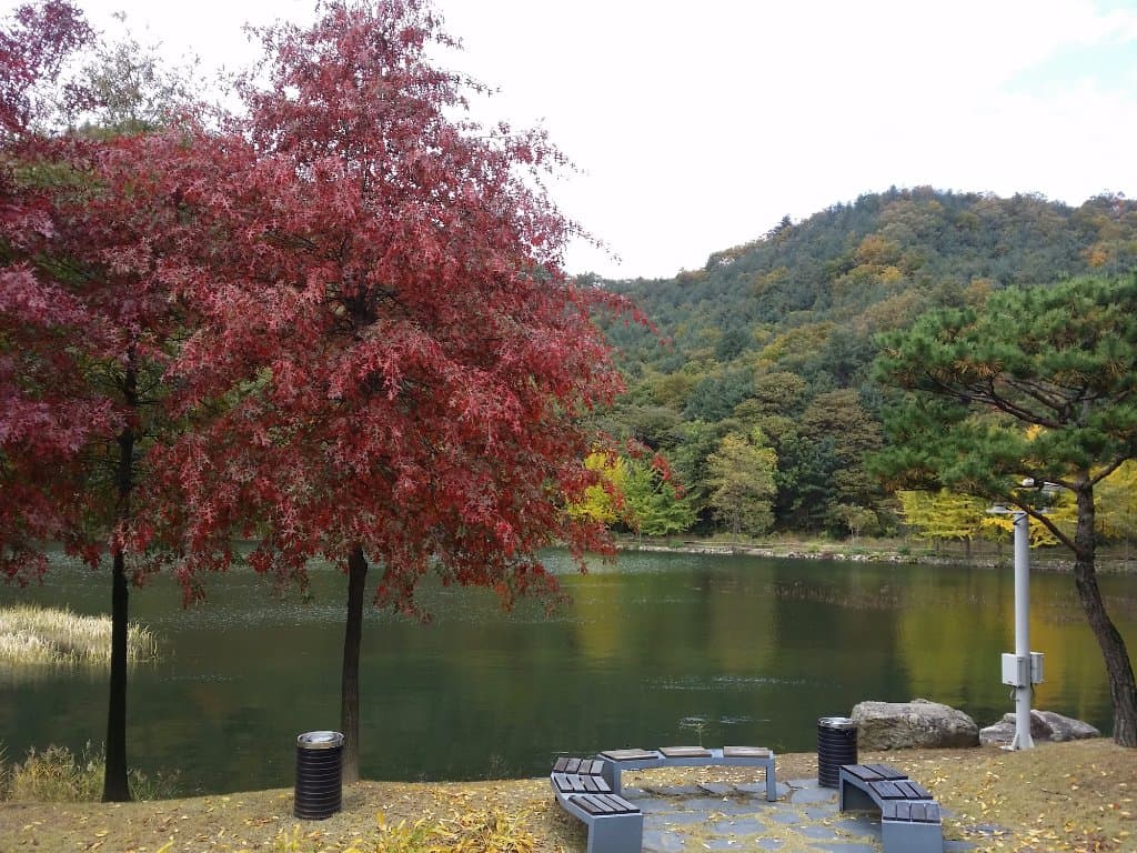 청평호의 끝자락