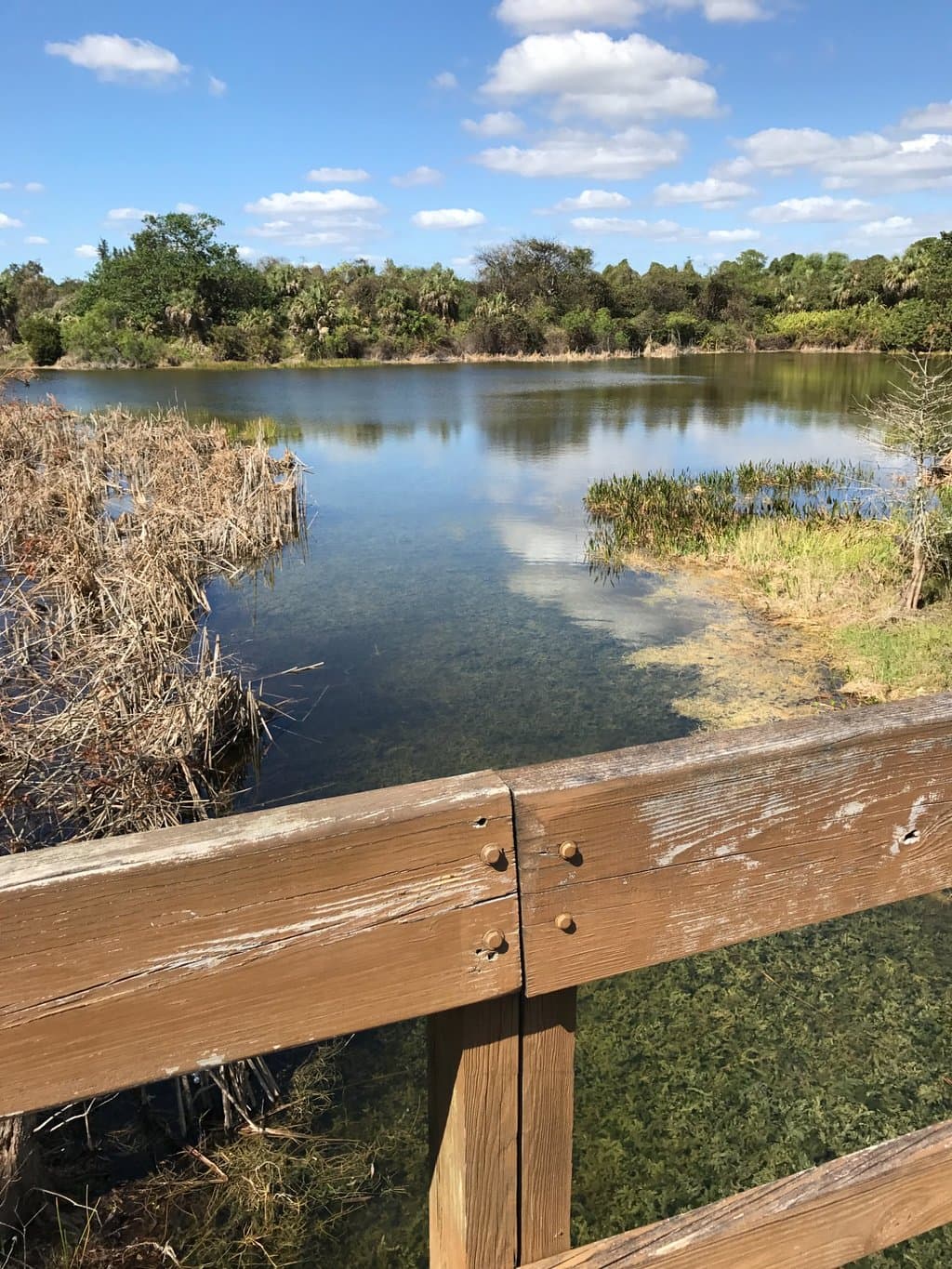 Walking Trail, View of Lake