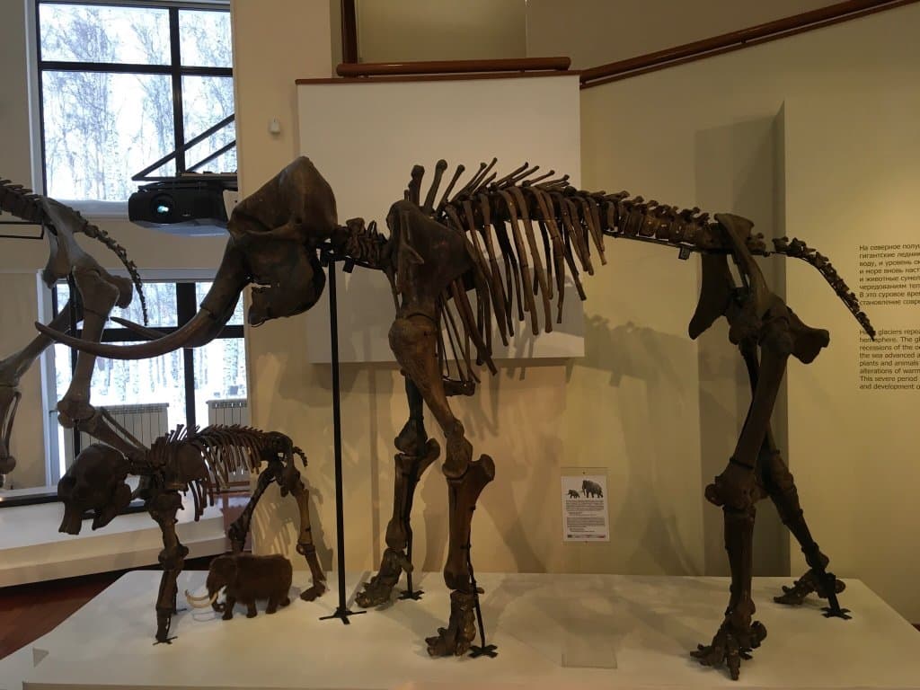 Museum of Nature and Man