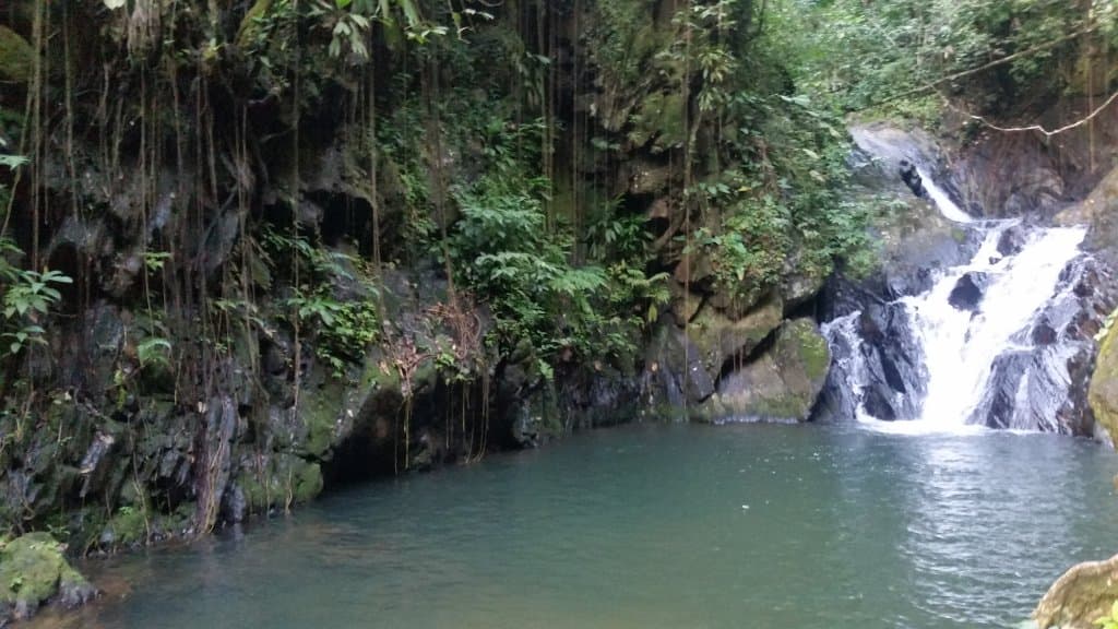 The falls and swimming hole