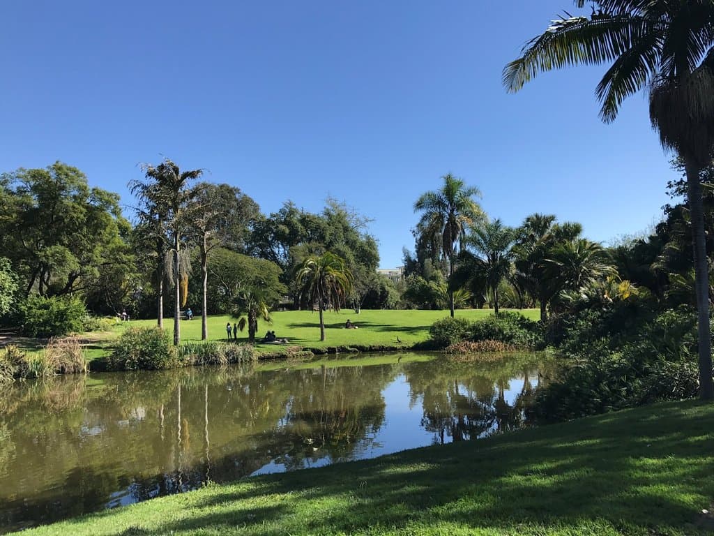 Fullerton Arboretum