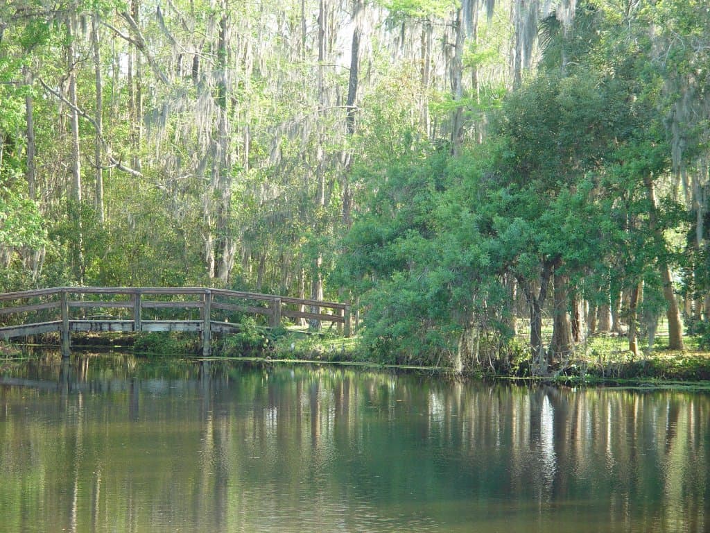 Boardwalk bridge to watch gators and turtles