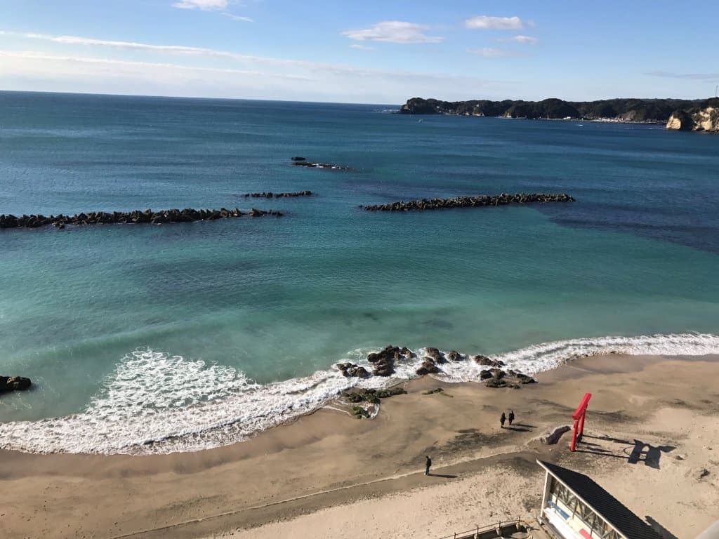 Katsuura Morning Market